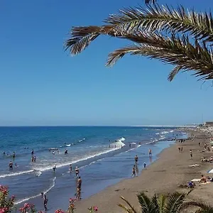 https://apartamentos-miami-playa-san-agustin.in-canary-islands.com